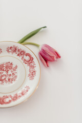 Fototapeta na wymiar pink and white dinner plate with tulip