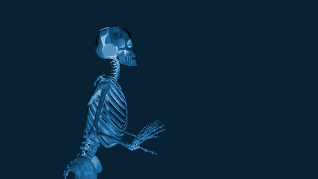 dj skeleton is doing a cool dancing on  x-ray effect side view