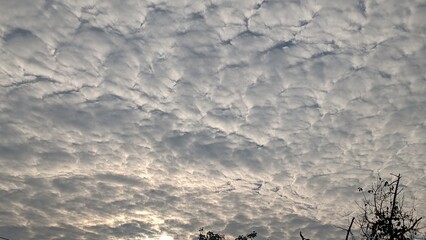 Cotton like white clouds pattern formation at dawn