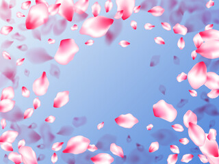 Spring blossom isolated petals flying