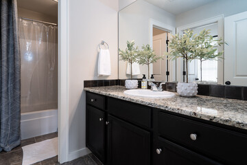 High contrast bathroom vanity with dark cabinetry and stone countertop, neutral colors with botanicals