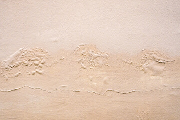 Brown wall damp damaged with peeling paint
