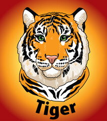 Black tiger head of animal living in nature with a print texture of the skin