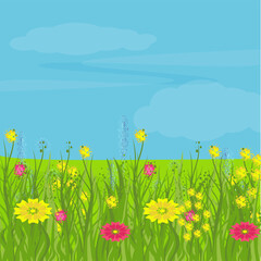A plain with green grass and flowers. Meadow. Bright, colorful vector background.
