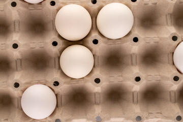 Several white chicken eggs on a tray, close-up, top view.