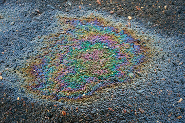 Obraz premium Rainbow gasoline oil spill on the pavement as a texture or background.