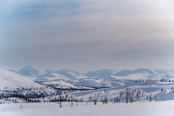 Fototapeta na wymiar winter landscape in the mountains of the Circumpolar Urals