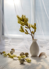 Willow branch and quail eggs on a windowsill illuminated by the sun