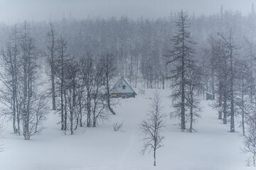 winter landscape in the mountains of the Circumpolar Urals