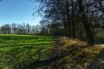 spring landscape in the field and by the lake near Pobiedziska in Greater Poland