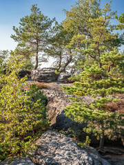 Lampertstein in der Sächsischen Schweiz - Felsplateau des Lampertshorn
