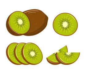 Set of fresh and juicy kiwi fruit whole, half and cut slice. Vector illustration isolated on white background