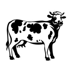 Cow is painted on a white background. Drawing for printing in a printing house.