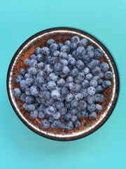Delectable Bowl of Blueberries on an Aqua Colored Background.