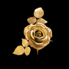 Gold Yellow Rose on Black Background

