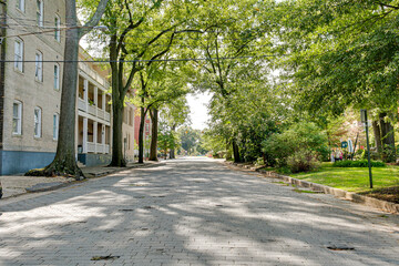Richmond Virginia cobblestone street summer green leaves oak tree