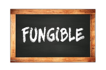 FUNGIBLE text written on wooden frame school blackboard.