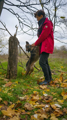 happy middle aged woman walking her dog in autumn park. dog and human relationship