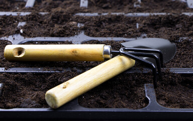 Gardening tools. Cells for planting plants. Shovel and rake on the ground
