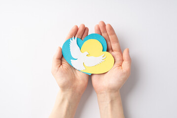 Stop the war in Ukraine concept. Top overhead view photo of girl's hands holding yellow blue hearts and white pigeon silhouette on palms on isolated white background