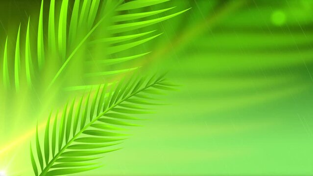 Palm Leaves HD__BG