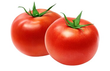 トマト イラスト リアル セット