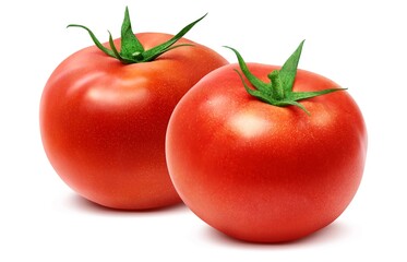 トマト イラスト リアル セット