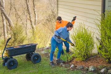 Young man and woman landscapers cleaning and mulching flower bed in midwestern suburb - obrazy, fototapety, plakaty