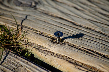 screw unscrewed from a wooden board