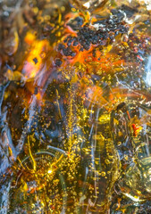 Background Fresh resin from trees in the sunlight