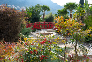 bridge in Japanese garden in spring