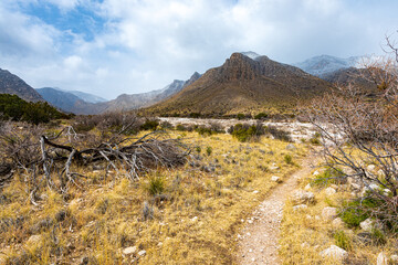 Snow on the Peaks in Guadalupe Mountain National Park