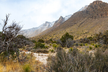 Fototapeta na wymiar Snow on the Peaks in Guadalupe Mountain National Park