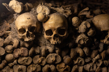 Skulls arranged in an order 