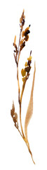 Fototapeta premium dry autumn grass brown wild on white snow in winter