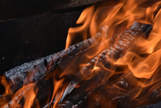 Blazing firewood in the fire coals