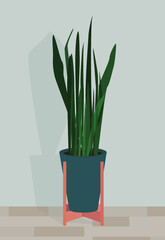 Vector flat image of a home plant in a blue pot and on a wooden stand. Tall green home plant. Design for postcards, posters, backgrounds, templates, textiles.