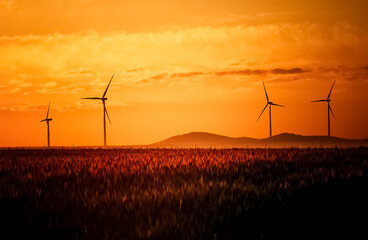 sunrise with wind turbines
