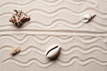 Fototapeta na wymiar a seashells lie on the light sea sand