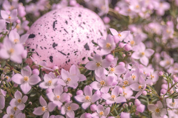 Dekoration für Ostern Osternest