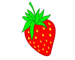 Strawberries are red summer fruits on a white background. Vector graphic illustration. Natural, organic dessert sweet, fresh berries