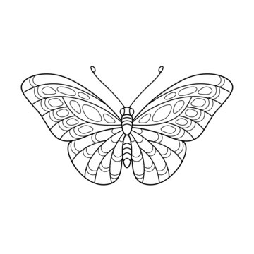Cartoon Contour Black and White Isolated Object Patterned Butterfly for Coloring Book.