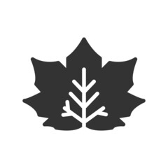 Maple Leaf Icon