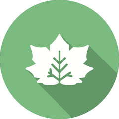 Maple Leaf Icon