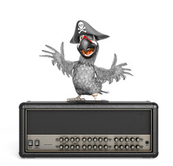 parrot pirate is on the radio