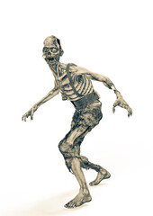 zombie is walking on white background