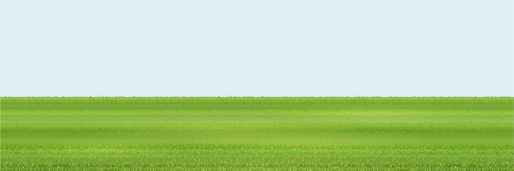Green grass field isolated on light blue background. Vector