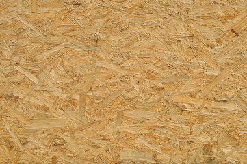 Wood texture background. Closeup of wood panel surface.