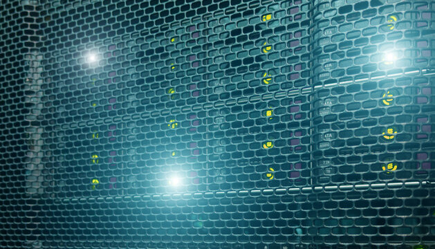 Blinking Lights on Internet Server.