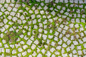 grass grows through the slits in the pavement granite stones